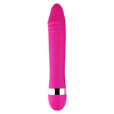 Big/ Small Realist Dildo Vibrator