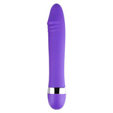 Big/ Small Realist Dildo Vibrator