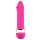 Big/ Small Realist Dildo Vibrator