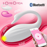 Wireless Remote Vibrator