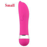 Big/Small Dildo Vibrator Av Stick