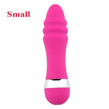 Big/Small Dildo Vibrator Av Stick